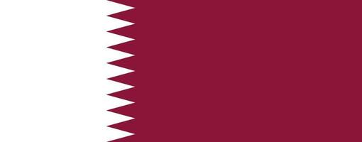 Qatar Flag Vector