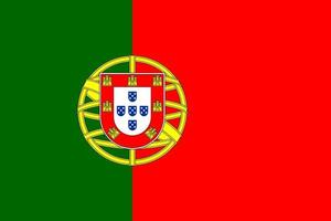 Portugal Flag Vector