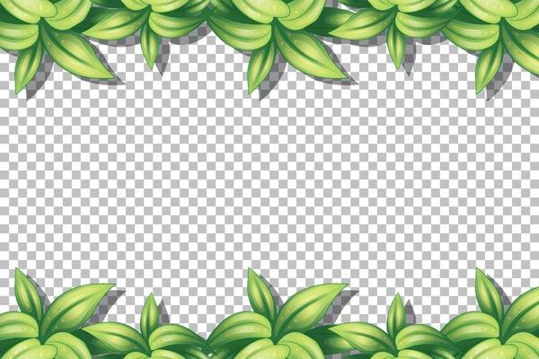 Nature plants frame grid background