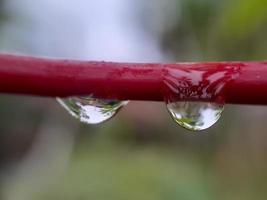 Closeup of water droplets on leaf, blur background photo