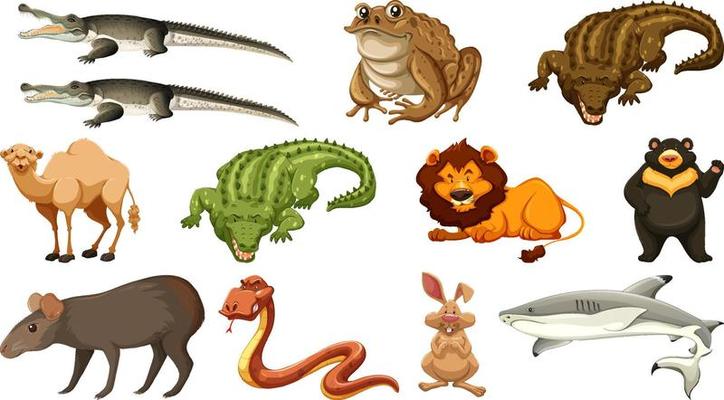 Set of different wild animals cartoon characters