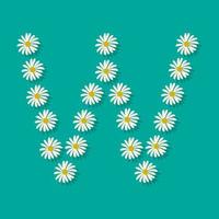 Letter W from white chamomile flowers. Festive font or decoration for spring or summer holiday and design. Vector flat illustration