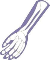 hueso esqueleto de la mano humana vector