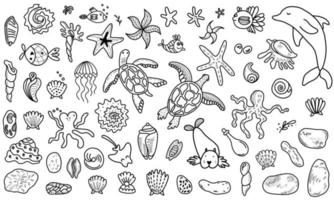 Linear design of various marine fauna icons vector