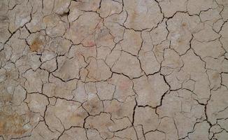 Ground cracked due to drought. Dry season causes the soil to dry and crack photo
