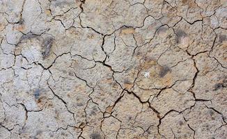 Ground cracked due to drought. Dry season causes the soil to dry and crack photo