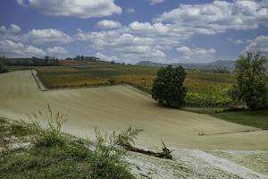 The vineyards in the Piedmontese Langhe in autumn photo