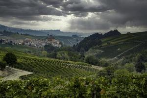 los viñedos de la langhe piamontesa en otoño foto