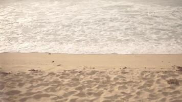 vagues sur la plage de sable video