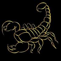 Golden Scorpion tattoo border on black background- ornate gold scorpion image, sign horoscope vector