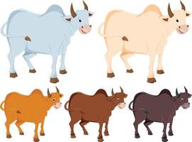 Ox Cartoon Five colour set vector