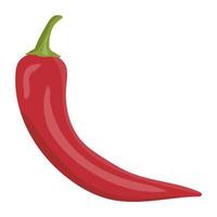 Red Chili Pepper vector