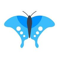 Mountain Swallowtail Butterfly vector