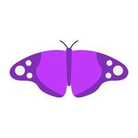 Erebid Moth Butterfly vector