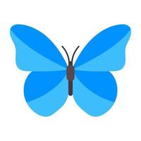 mariposa morfo azul vector