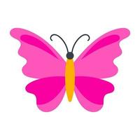 Zigzag Wing Butterfly vector