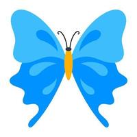 Double Blue Butterfly vector