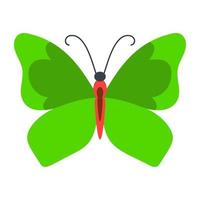 Kallima Inachus Butterfly vector