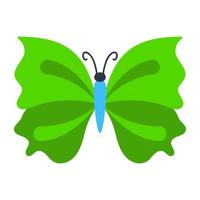 Zigzag Wing Butterfly vector