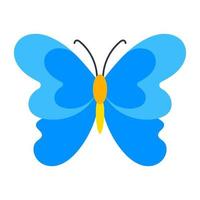 Flower Butterfly Concepts vector