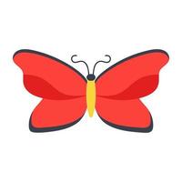 Malay Lacewing Butterfly vector