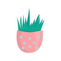 Plant in cute pot Flat vector illustration