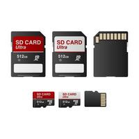 SD and Micro SD card isolated on white background, vector illustration