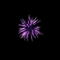 light purple fireworks burst in the air light up the sky with dazzling display and Colorful fireworks festivals on black. photo