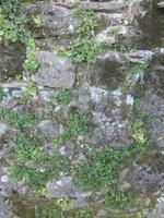textura de roca y pared naturaleza fondo orgánico textura y polvo mármol líquido.