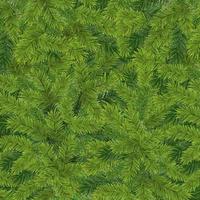 Realistic green background from pine tree branches with needles vector