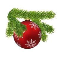 Red Christmas tree toy or ball on tree pine branch vector