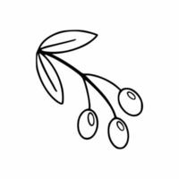 A sprig of olives in the style of a doodle. Vector icon with olives. Vector sketch in the style of hand drau.