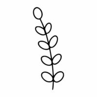 A twig with a willow. Spring illustration in the style of doodle. Willow for the Easter holiday. vector