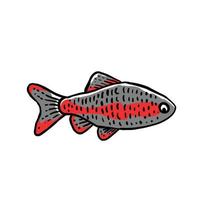 Diseño vectorial de peces decorativos únicos o adecuados para el logotipo de la tienda de peces ornamentales, etc. vector