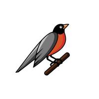 American robin Birds Vector Cartoon logo design.Logo for business in the industry of bird shop ,sticker and tshirt etc.