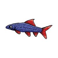Diseño vectorial de peces decorativos únicos o adecuados para el logotipo de la tienda de peces ornamentales, etc. vector