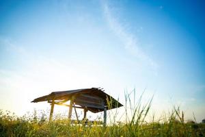 A small hut in the field in the morning photo