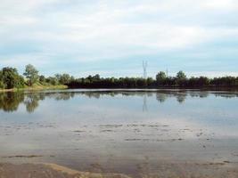 Paddy field landscape photo