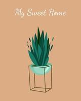 Home sweet home text Postcard, Lush tropical leaves and green foliage. Vector print design.