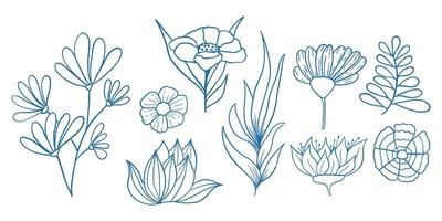 Outline Doodle Floral Botany Illustration Collection, Coloring Book vector