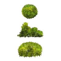 Ornamental green plant in the form of a hedge.Ivy arch.Realistic garden shrub, seasonal bush, boxwood, tree crown bush foliage. vector