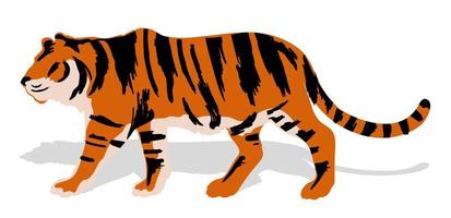 Silhouette of a walking tiger. Color picture, side view on a white background. vector