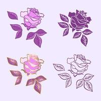 Rose flower set. Vector options for the image of color, and contour. Design elements isolated from the background.