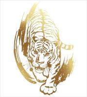Crouching tiger hunting. Gold outline with brush strokes and grunge texture on a white background. The design element is isolated from the background. vector