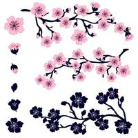 Set of pink sakura flowers. Vector image of a branch of a blossoming tree, flowers, buds and