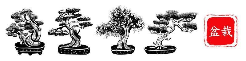 Set of 4 Bonsai trees. Vector hand drawn black and white illustration on a white background. Inscription in Japanese Bonsai characters.