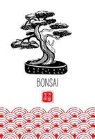 Bonsai. Japanese miniature tree. Vector hand drawn illustration.