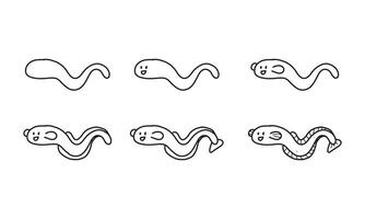 Drawing a cute eel step by step vector