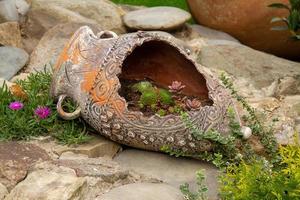 Old Wine Pitcher With Succulents photo