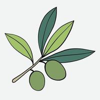 doodle freehand sketch drawing of olive fruit. vector